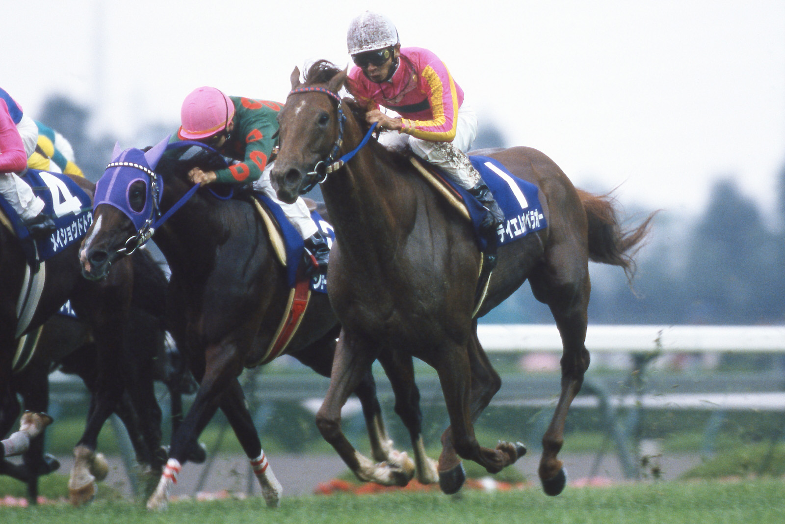 競馬 記念蹄鉄 エリモジョージ号 JRA 天皇賞 宝塚記念 大幅値引き