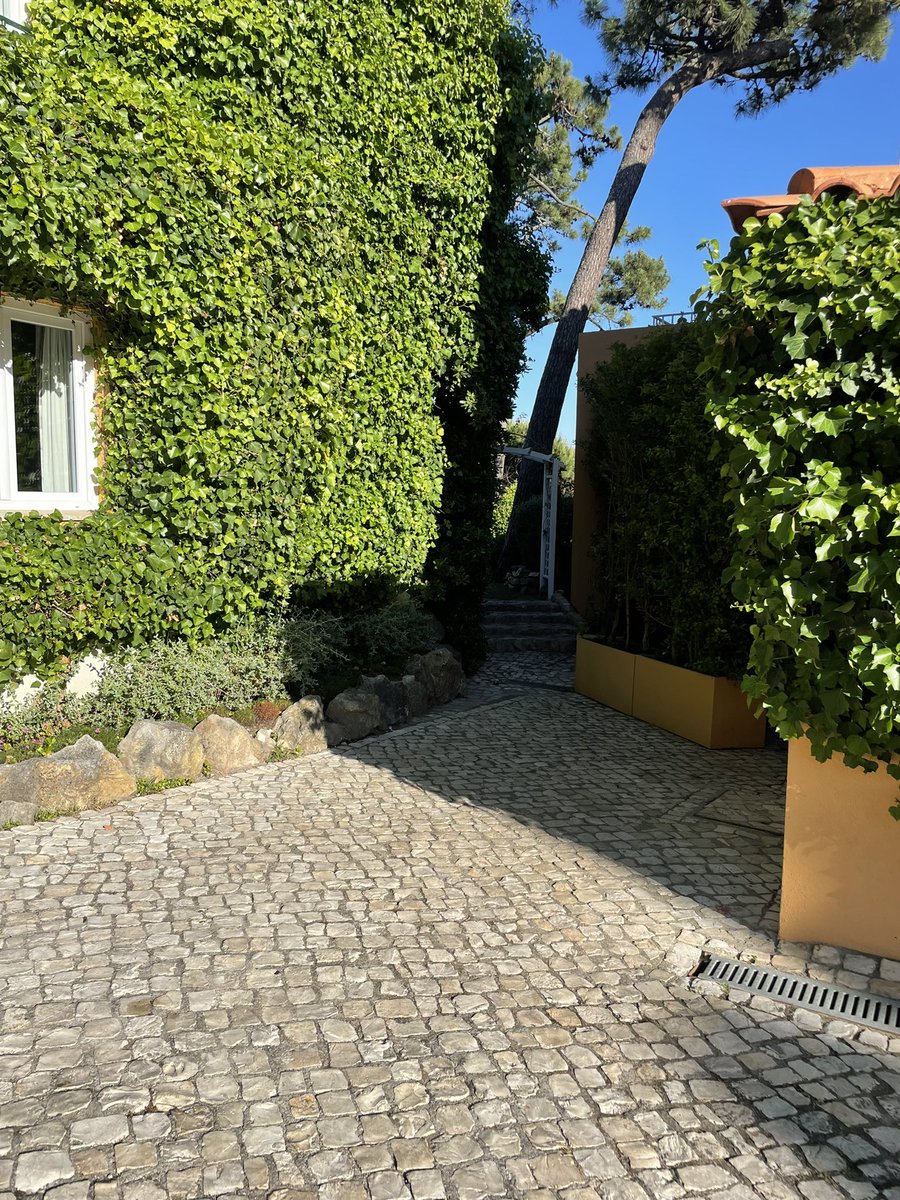 aliciahoff88's tweet photo. Cascais and stone roads https://t.co/f4hJzmPlAf