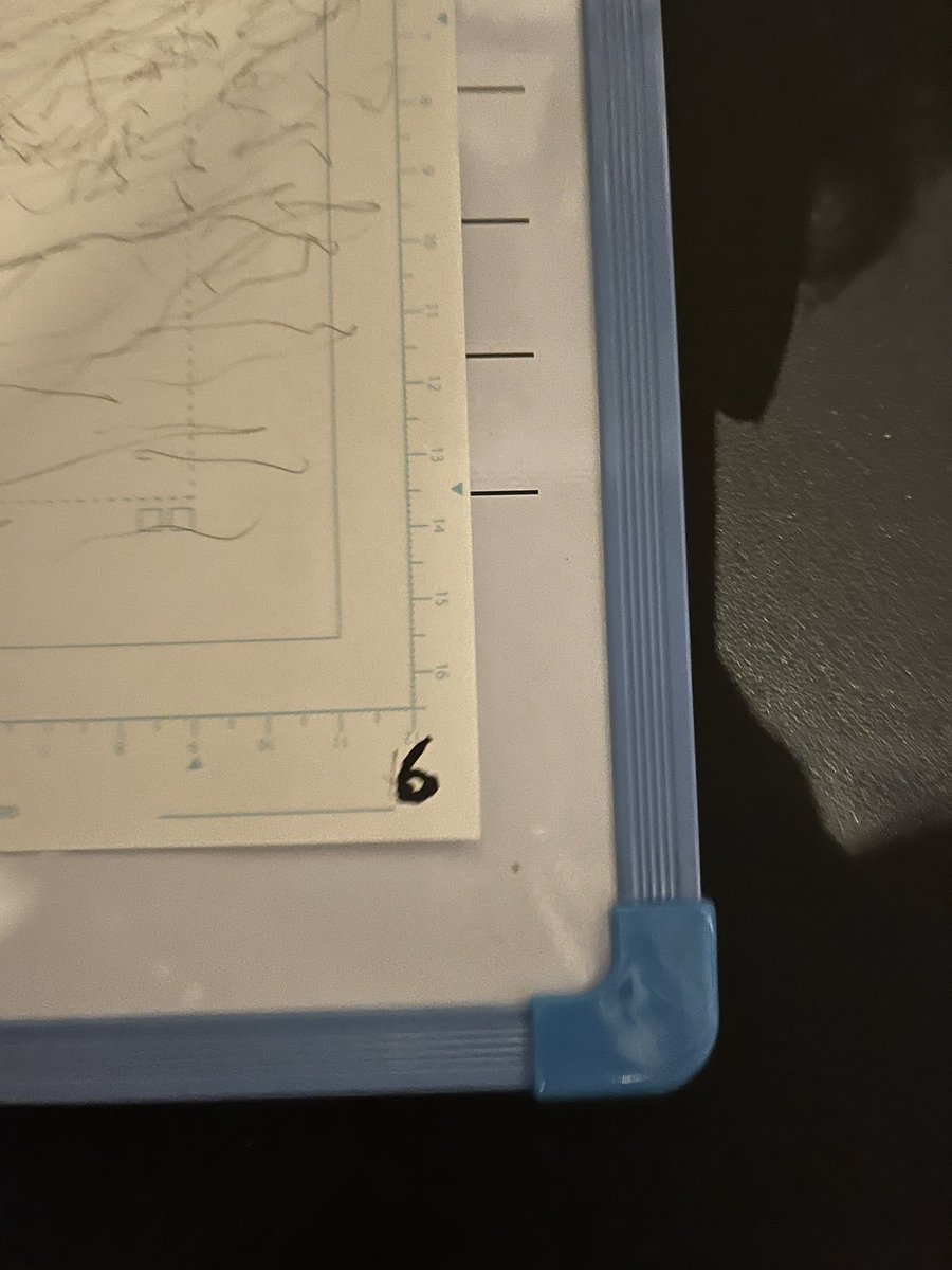 estpasouf's tweet photo. "bébé pourquoi tu pleures ? C'est juste une photo d'une feuille mal cadrée..." https://t.co/Vcw1XIVyYl