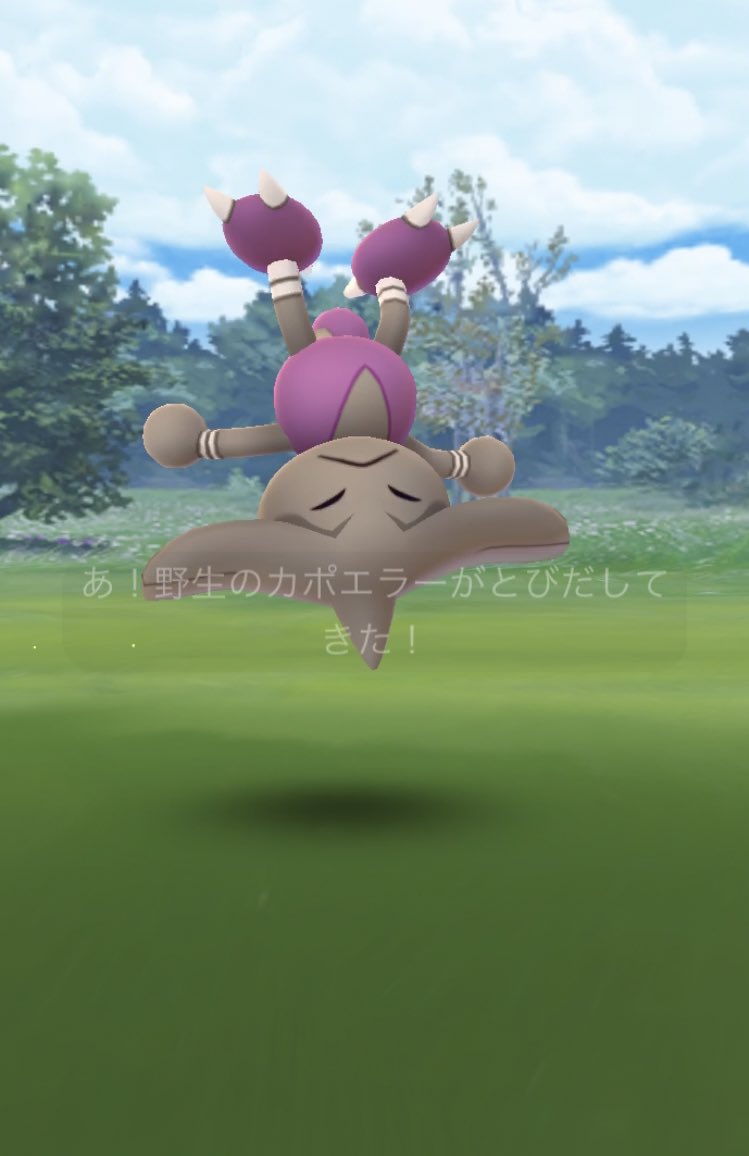 色違いカポエラー Twitter Search Twitter