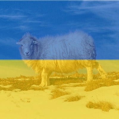 FlagifyUkraine's tweet photo. Free Ukraine Avatar @p_crosland https://t.co/TKcwLo8KDI