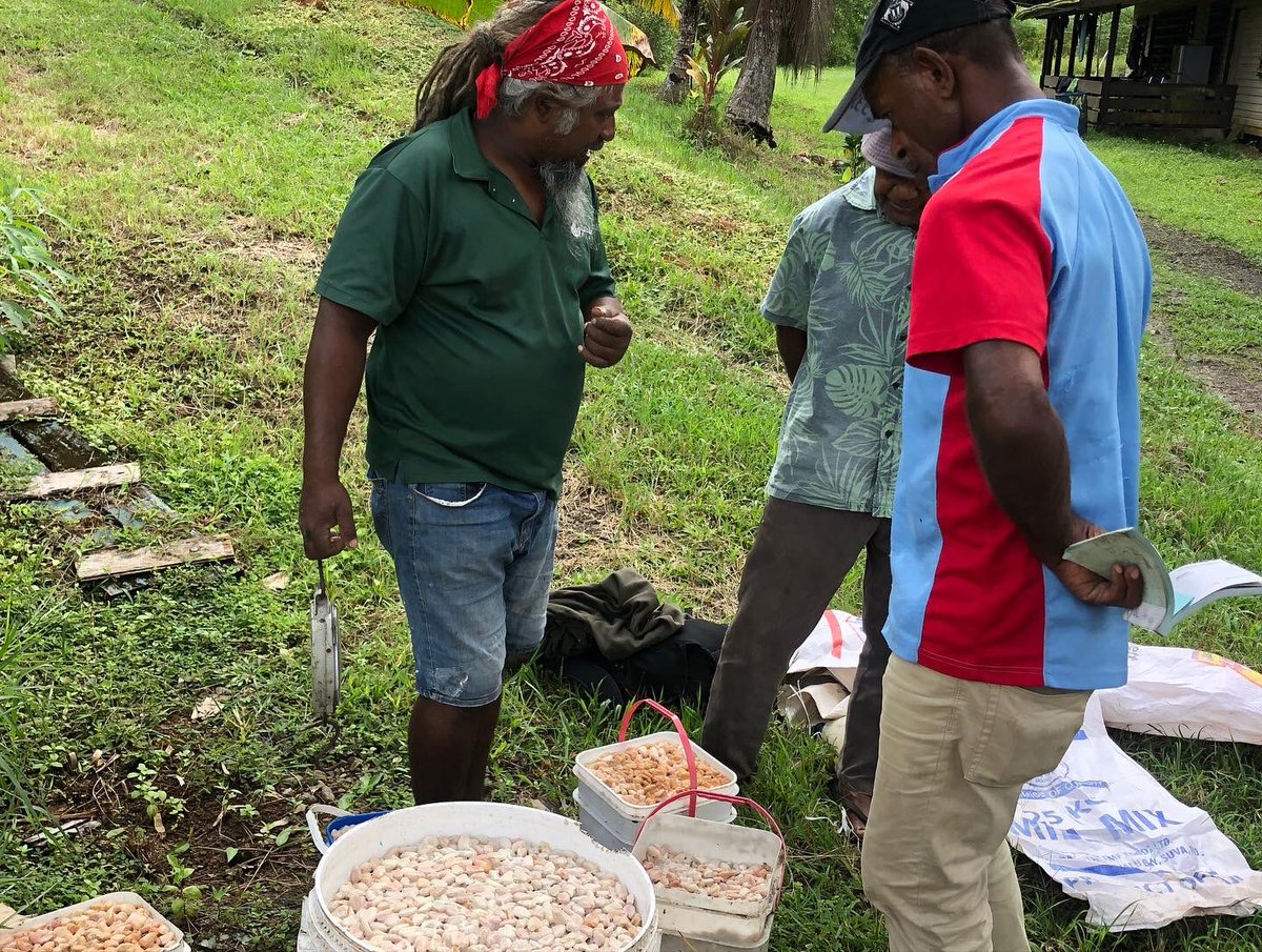 Cocoa buying day is an adventure in Fiji , it is far and wide , going through different terrains and wonderful scenery 

#cocoafiji #fijicocoa #cacaofiji #cocoafarmers