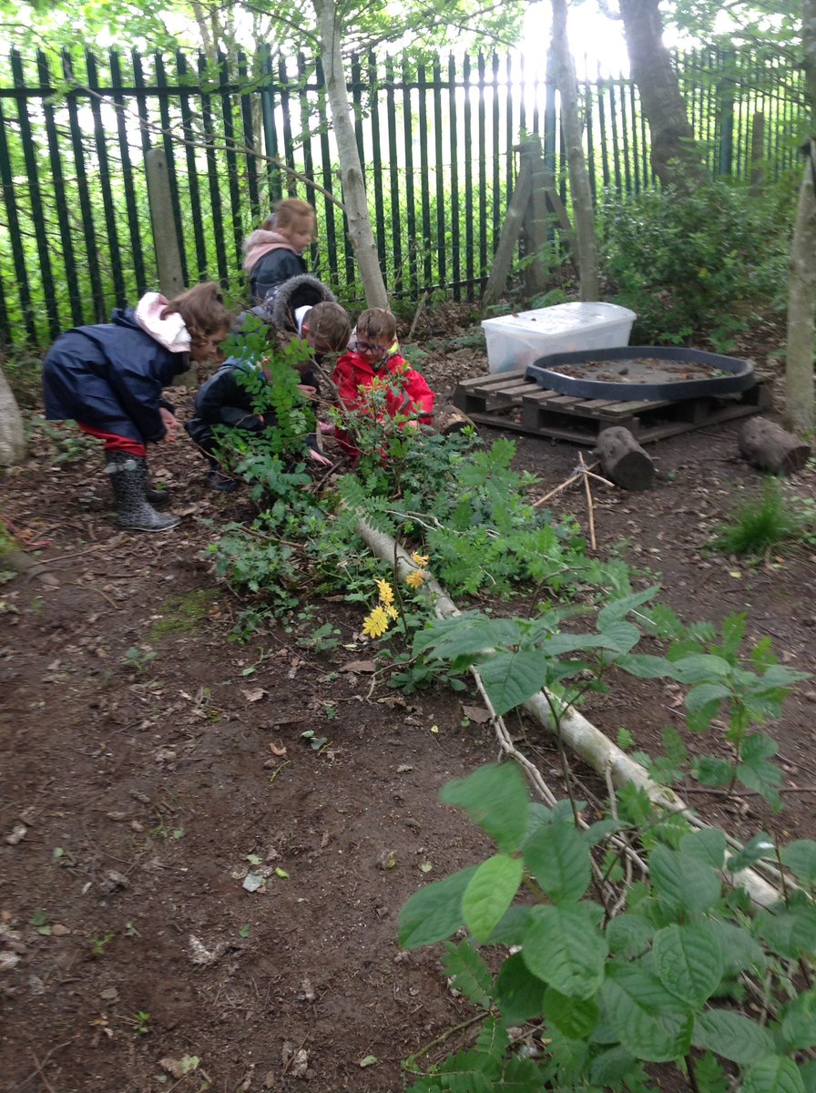 fletcher_fs's tweet photo. @wild_bank Foundation stage @trust victorious have been busy investigating a fallen tree in our forest. We have found lots of worms and other insects amongst the tree roots. https://t.co/b1zhrl4OI3