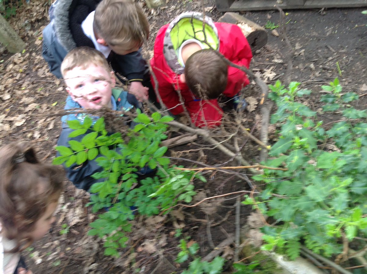 fletcher_fs's tweet photo. @wild_bank Foundation stage @trust victorious have been busy investigating a fallen tree in our forest. We have found lots of worms and other insects amongst the tree roots. https://t.co/b1zhrl4OI3