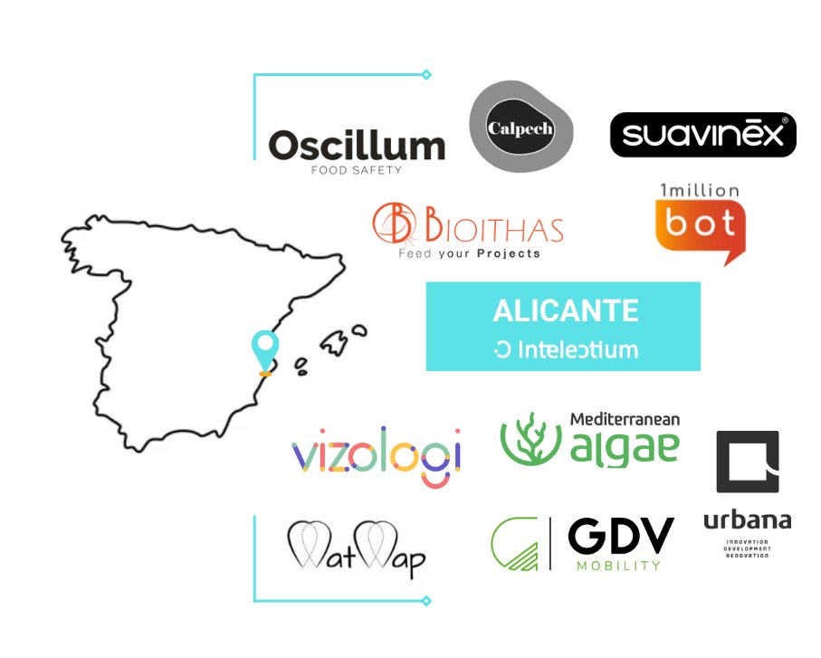 Desde startups basadas en software a startups altamente sostenibles. Alicante es la ciudad número 16 del ecosistema emprendedor español. ¿Cuáles son sus 𝟏𝟎 𝐬𝐭𝐚𝐫𝐭𝐮𝐩𝐬 más prometedoras? 💥😎

👉🏻​Descúbrelo en intelectium.com/startups-alica…