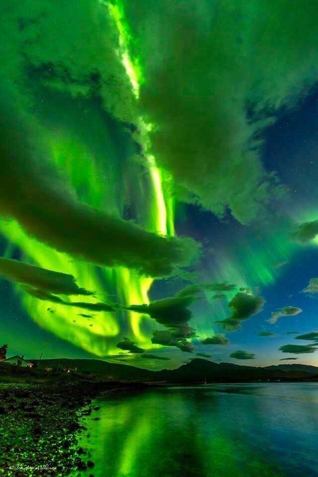 David88_01's tweet photo. #PHOTOS #NaturePhotography #naturelovers https://t.co/WXF34UYaWR