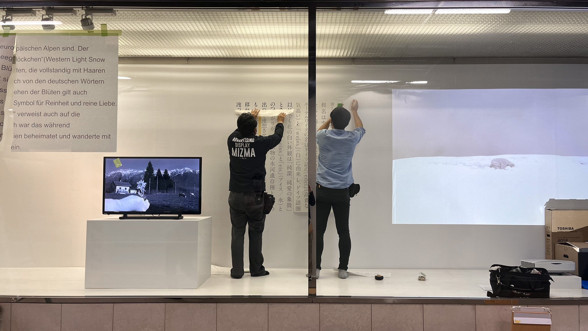 Meetartist Twitter Sogning Twitter