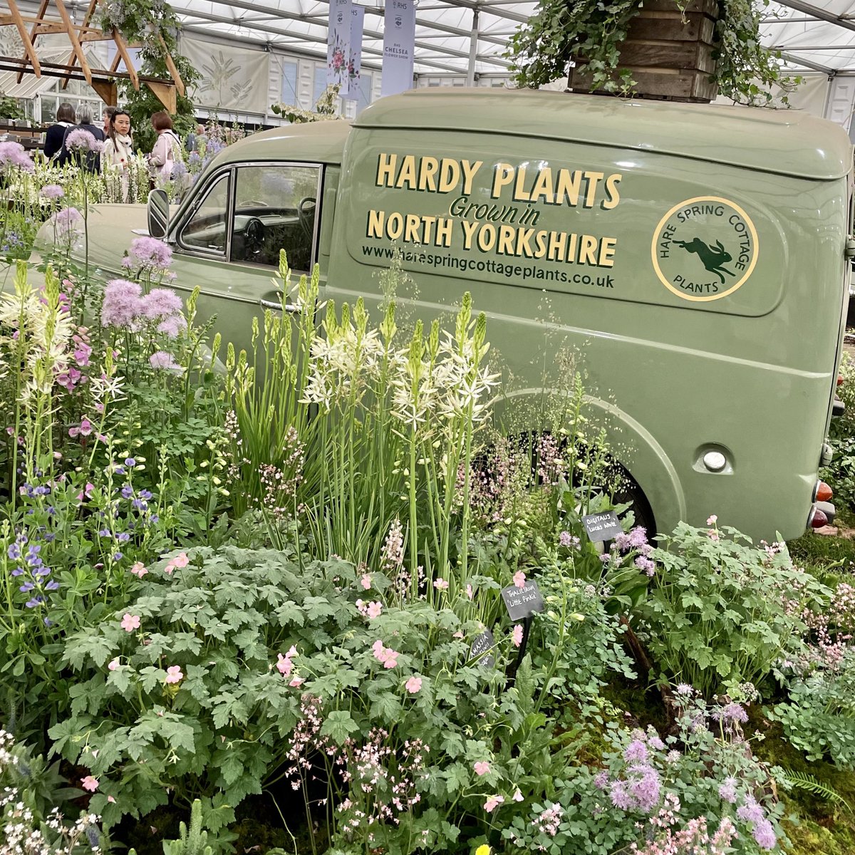 🌹rosesuk tweet media