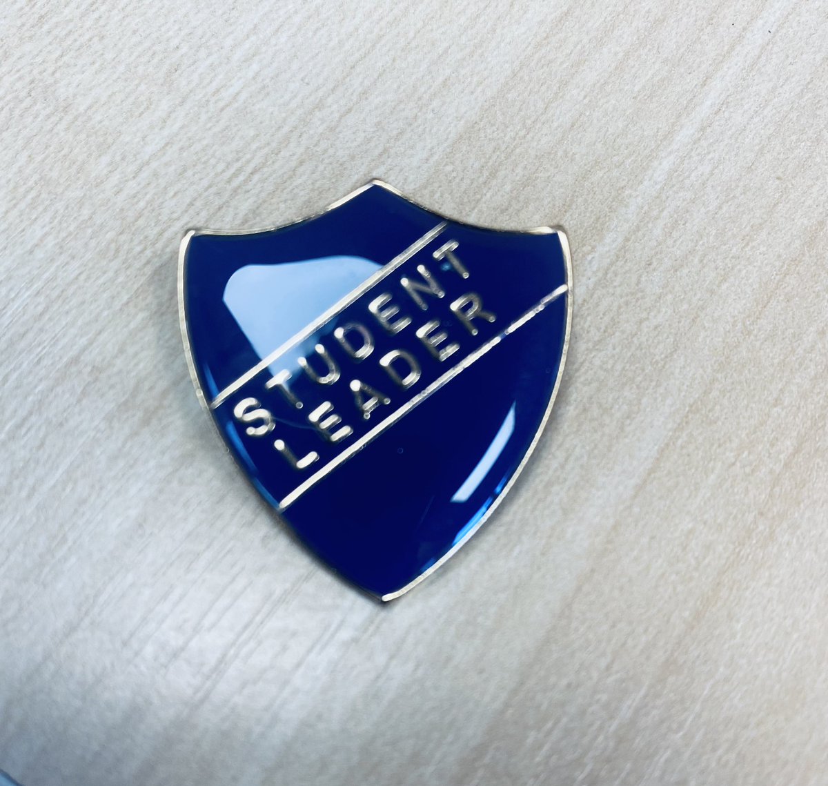 StreetlyYr11's tweet photo. We are very excited to introduce you to some of our Pupil Leadership Team. We had lots of applications so congratulations to those that have been selected. We cannot wait to see what you are going to do next term for your forms and the Year group. #prideinallwedo @StreetlyAcademy https://t.co/qBLlivQPnP