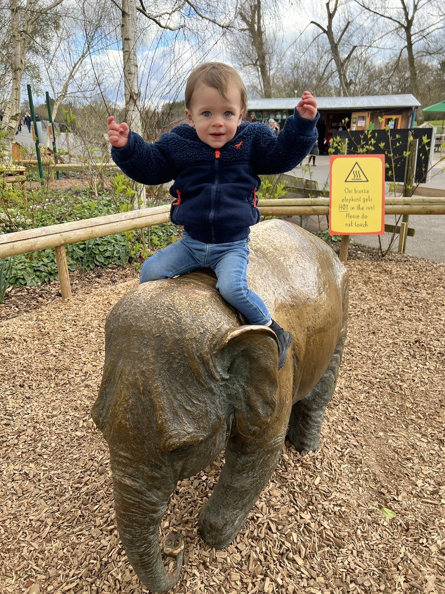 teecey10's tweet photo. @GemmaTeece @chesterzoo @GemmaTeece @chesterzoo https://t.co/YRnwuMpT3z