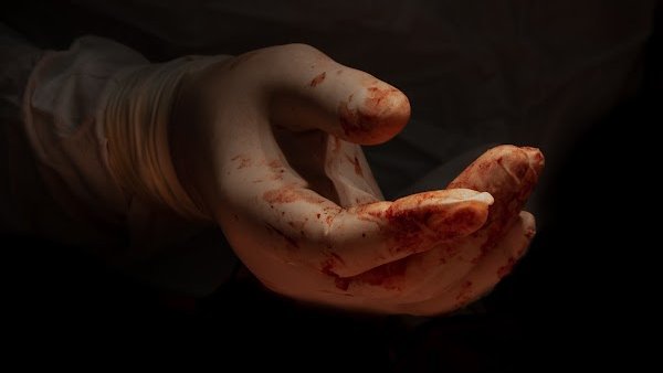 alena_burya's tweet photo. Continuing to yesterday's post.
Hands. While defenseless, they protect. They are at the forefront. They tell more about a person than a face.
A few pictures to prove it. 
Lesya Teslya, @lenashved1, Yelyzaveta Sherstnova
#NFT MYPH Vol.1 collection.
https://t.co/HcEnXlKCXQ https://t.co/abttI6DOzx