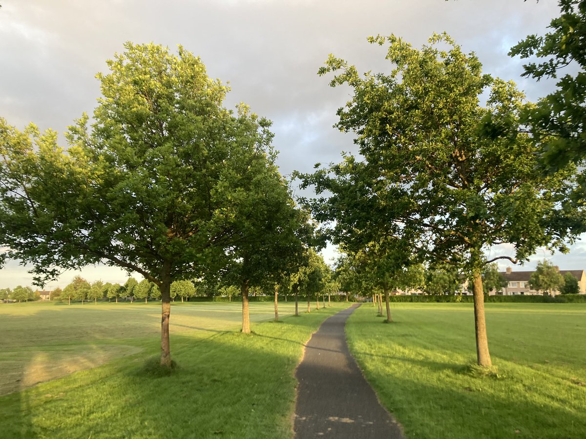 aodhan_king's tweet photo. #CycleHappy through Grangegorman, Phoenix Park and the lovely Oaks of Oakfield, Palmerstown.
#Yay https://t.co/8tfWk0jm7U