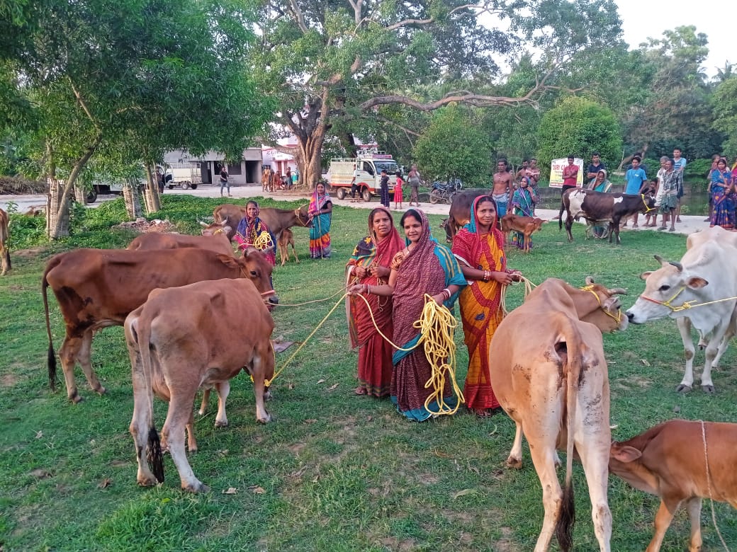 OLM DMMU BHADRAK tweet media