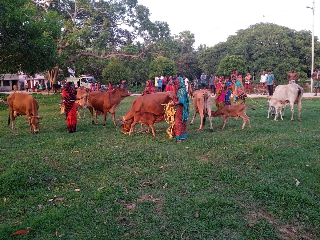 OLM DMMU BHADRAK tweet media