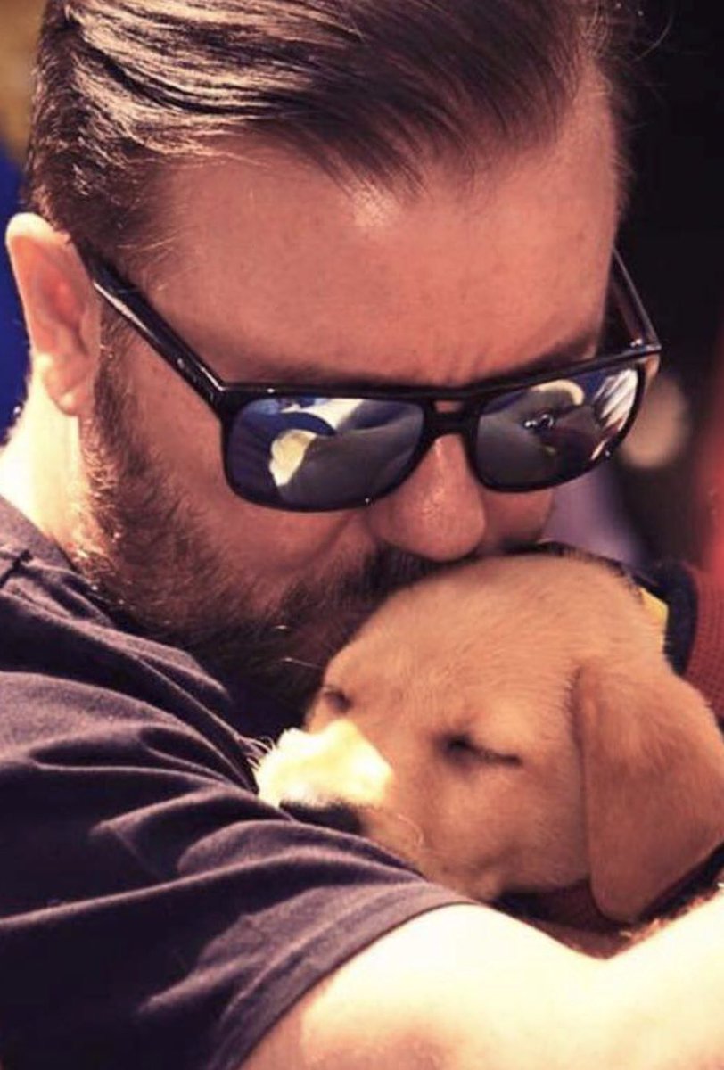 “Whether you understand they evolved over billions of years or believe that a God made them all one afternoon, please be kind to animals.”
@RickyGervais ❤️🐾