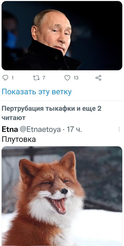 Renard 🦊🐈‍⬛ tweet media