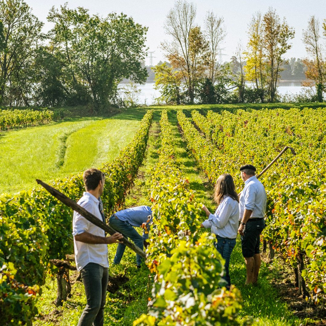 Vignerons de Tutiac tweet media