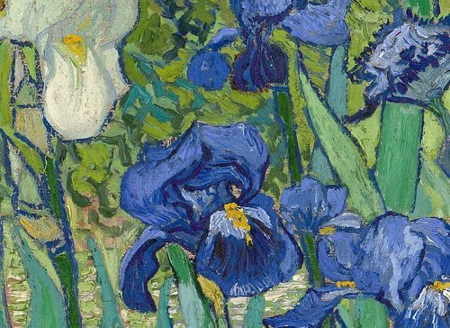 painting details of Vincent van Gogh’s flowers