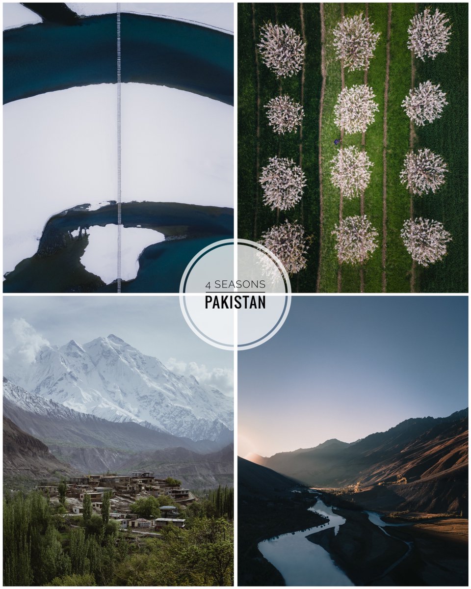 Munib Jan 🦉| “4 Seasons” Editions Live 10/10 tweet media