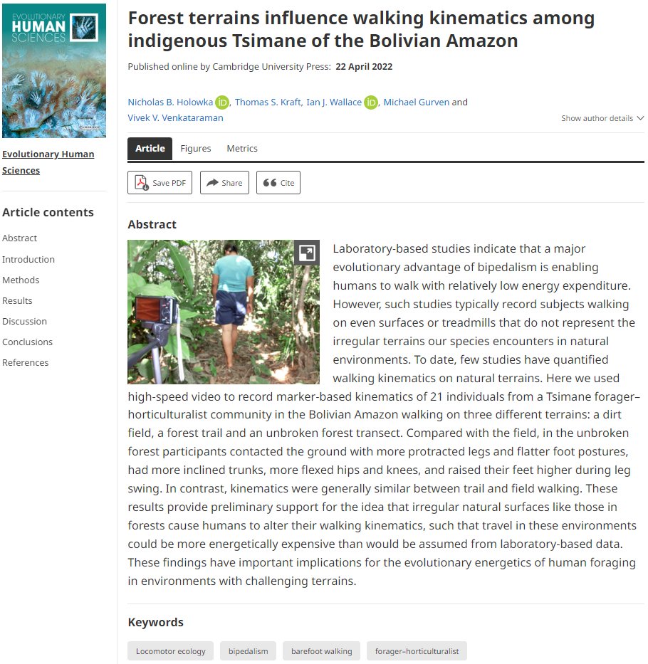 'Forest terrains influence walking kinematics among indigenous Tsimane of the Bolivian Amazon' bit.ly/3x1gvTr by Nicholas B. Holowka, Thomas S. Kraft, Ian J. Wallace, Michael Gurven and Vivek V. Venkataraman #research #article #openaccess #journal #publishing