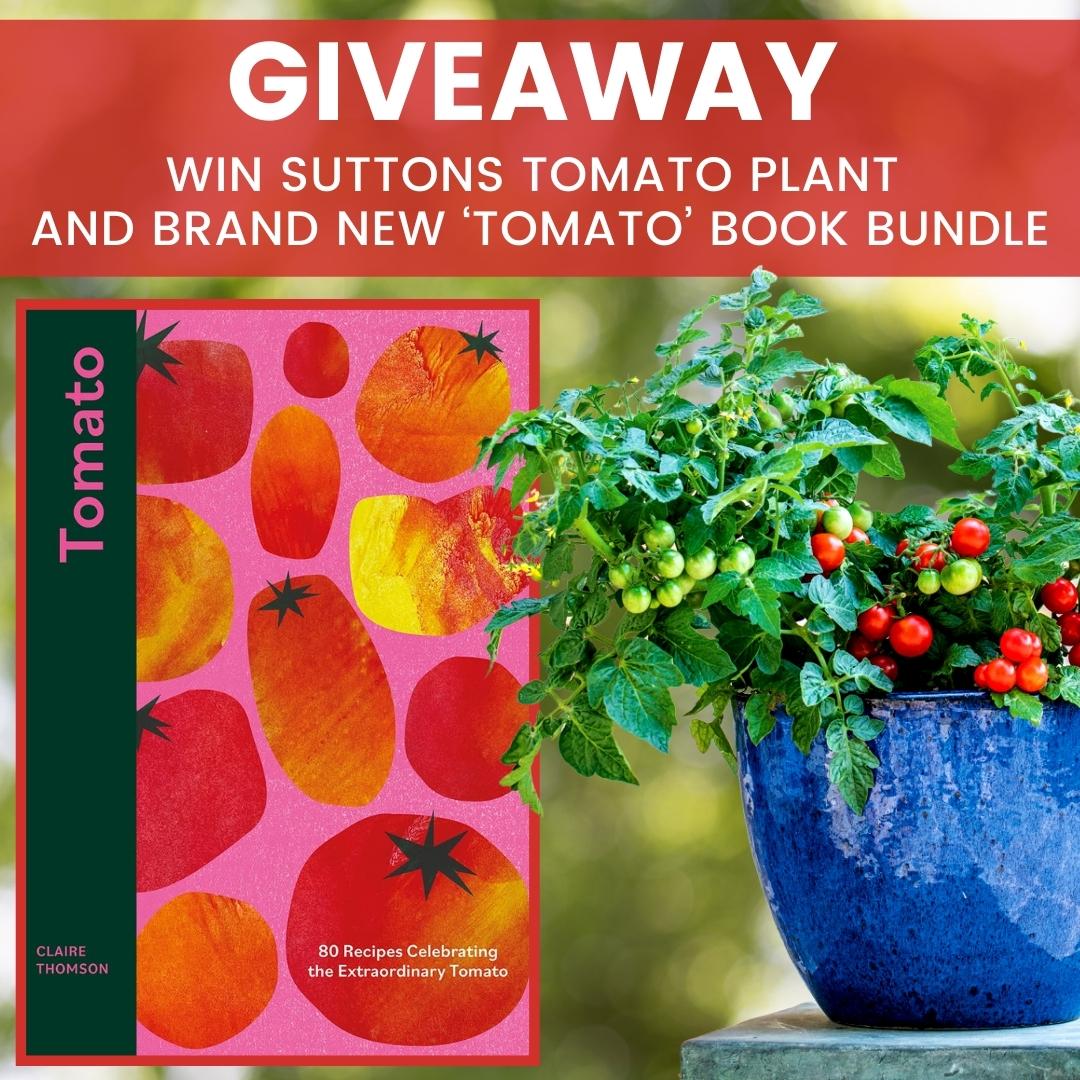 🍅#WIN Suttons #tomato plant & 'Tomato' recipe book bundle #competition!🍅 A 2-litre potted 'Veranda Red' tomato plant and a copy of 'Tomato', the brand new recipe book from @5oclockapron & @quadrillebooks Enter here: hub.suttons.co.uk/blog/general/c… Hurry! Closing tomorrow at noon!