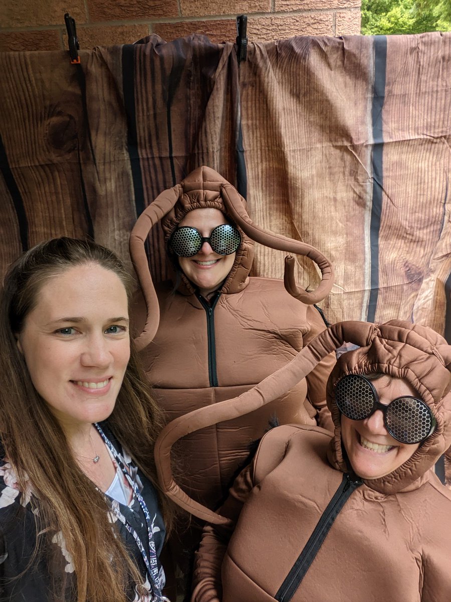 Elissa Scillieri tweet media