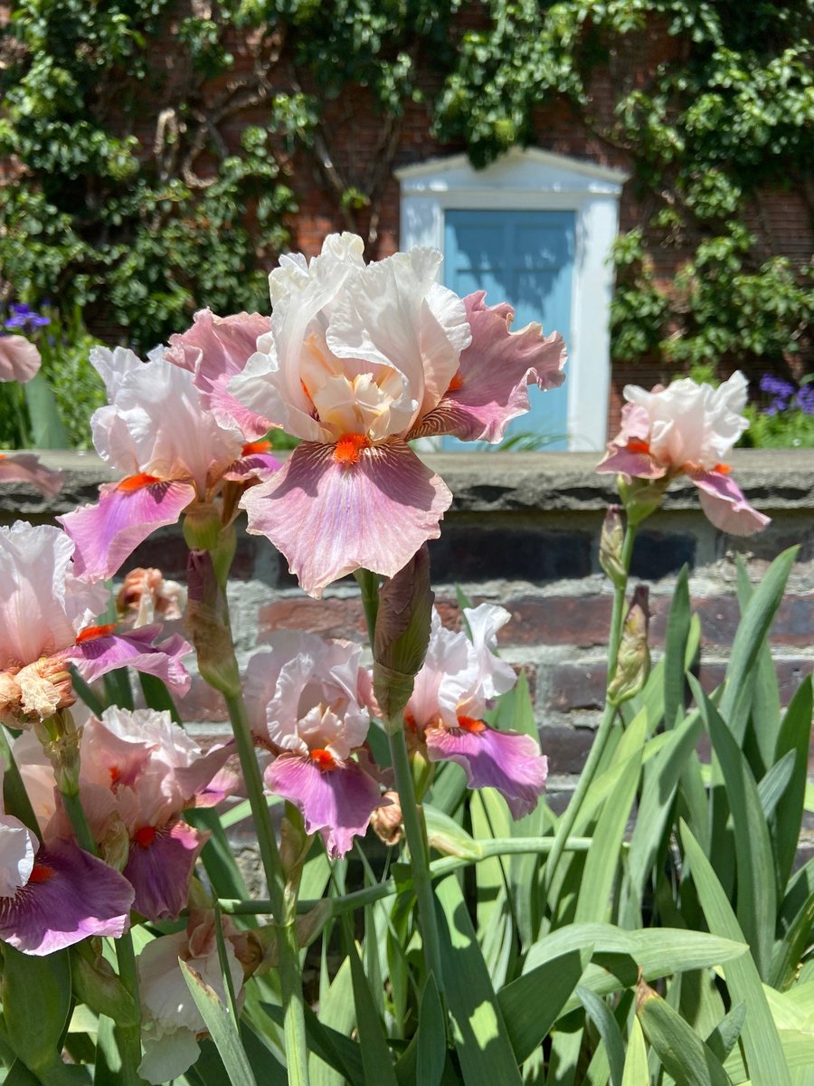 RPMarzilli's tweet photo. Just another day in the office.  #MayFlowers https://t.co/Bt0JoSTQzm