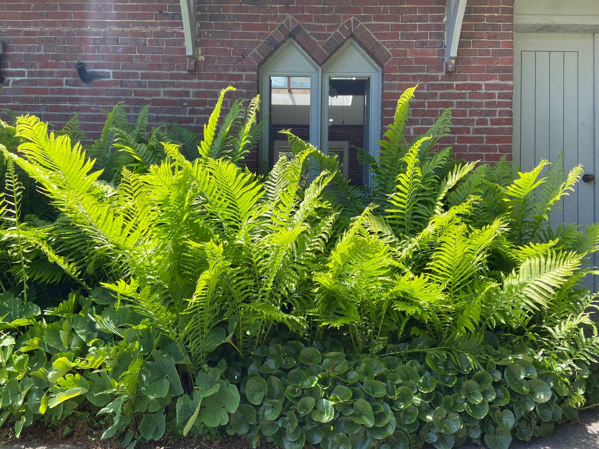 Just another day in the office.  #MayFlowers