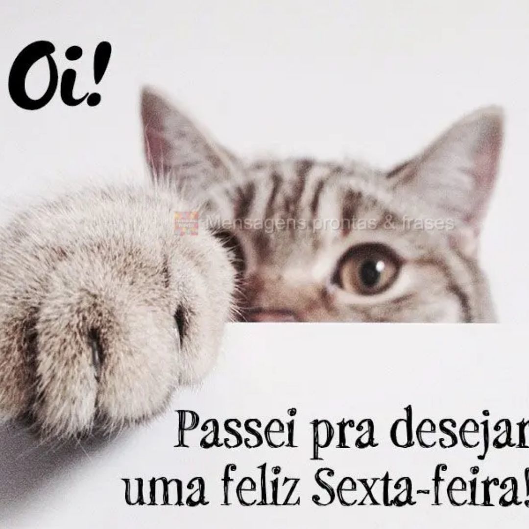catanduvananet on Twitter: catanduvananet on Twitter: