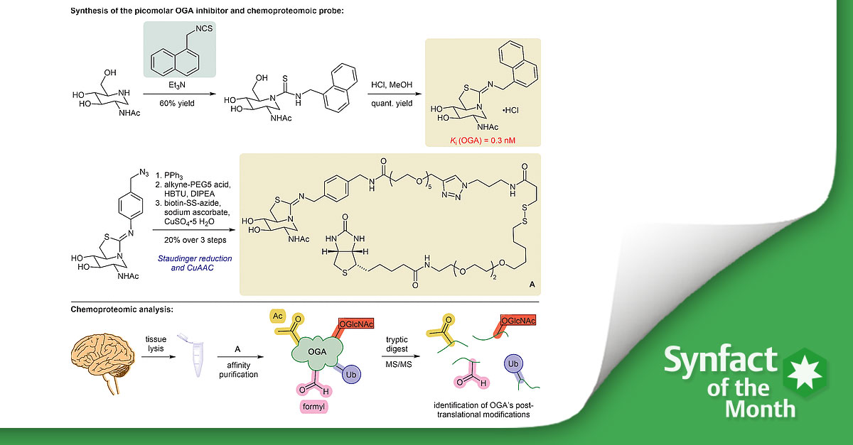 ❇️ In this Synfact of the month <a href="/DirkTrauner/">Dirk H. Trauner</a> from <a href="/nyuchemistry/">NYU Chemistry</a> highlighted the ´A #Novel Thiazolidine Scaffold that Inhibits O-GlcNAcase (OGA)` by Davies GJ, Mellet C, Vocadlo DJ. and co-workers from <a href="/UniOfYork/">University of York</a>.👏
👉 fal.cn/3oXM0