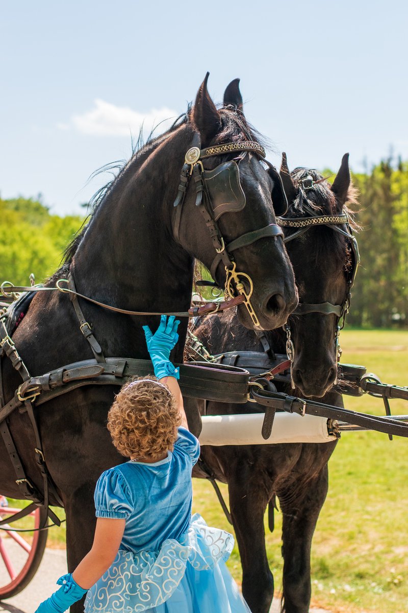 MakeAWishNL's tweet photo. Susan (7) heeft botkanker en heeft het op jonge leeftijd al heel zwaar gehad. Susan werd voor haar wens omgetoverd tot een prachtige prinses en mocht in een echt kasteel overnachten.
#prinses #kasteel #koets #assepoester #paarden #meisjesdroom #makeawishnl #makeawish https://t.co/4EM8H6ile6