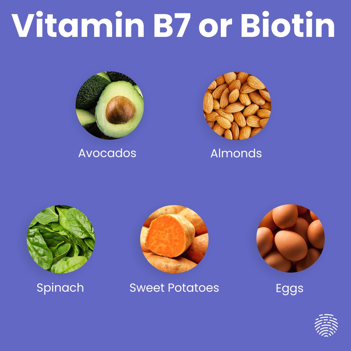Biotin is essential for the body’s metabolism. It acts as a coenzyme in a number of metabolic pathways involving fatty acids and essential amino acids, as well as in gluconeogenesis. Here are some foods that provide biotin.