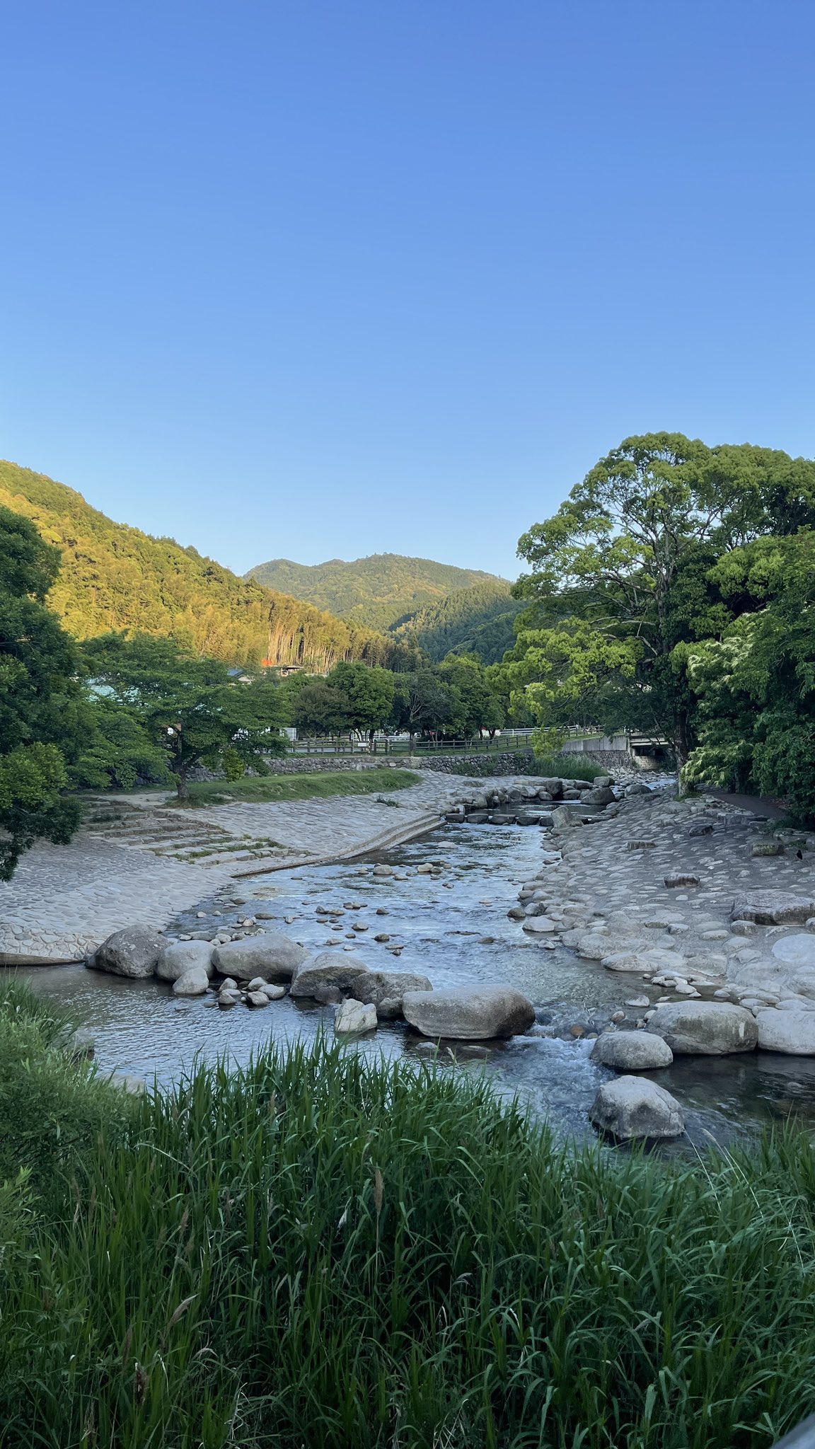 市ノ瀬ベース 今日から中之島公園で ホタル鑑賞をするために夜間開放をするみたい 警備員から聞いた ホタル 福岡 那珂川 中之島公園 T Co R3ajryddhs Twitter
