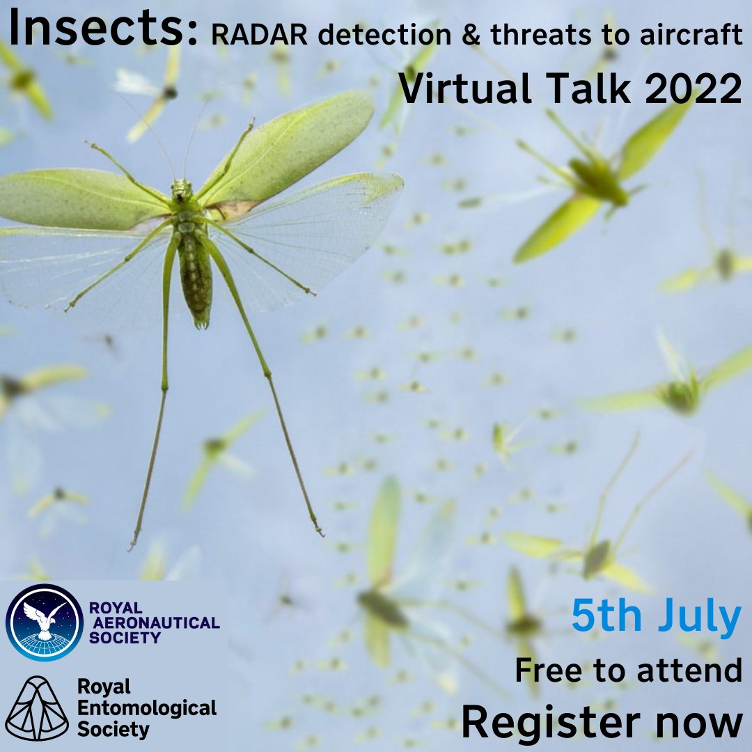 Join our #free #online #event! July 5th, @AeroSociety & @RoyEntSoc explore ways that #insects can affect #aircraft #operations & their #behaviour at #altitude. ow.ly/46Iq50J1jKX #Entomology #Science #Research #aeronautics #aerospace #aeroplanes #invertebrates #RESfuture