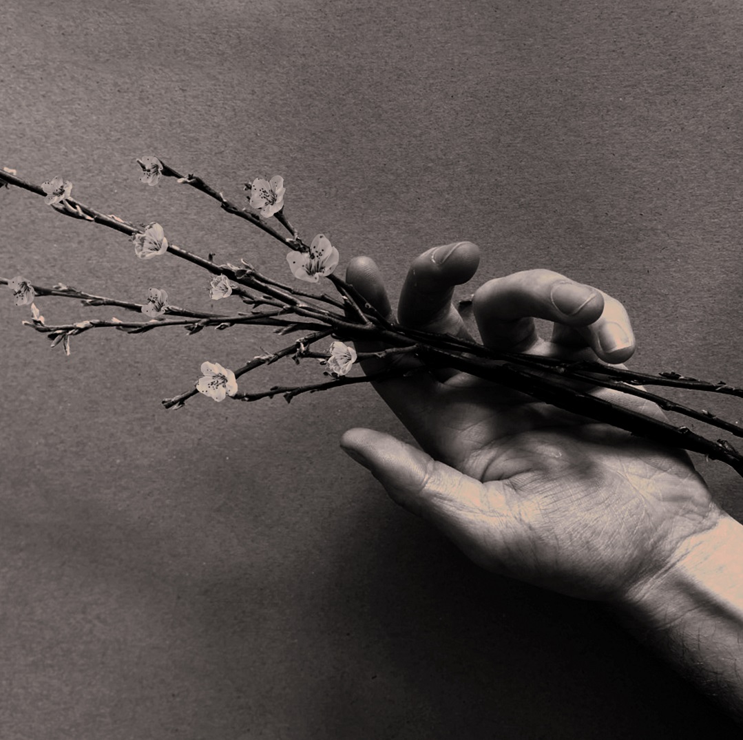 HoxtonHall's tweet photo. We're delighted to be welcoming @newpalaceopera with their premiere of A Kind Man on 7, 8, 10 and 12 June. Composed by Jonathan Finney and based on Dame Susan Hill's novel, its going to be amazing!
🎫For more info and to book tickets 👇https://t.co/20teV08lj2 https://t.co/2pSTgGp7aF