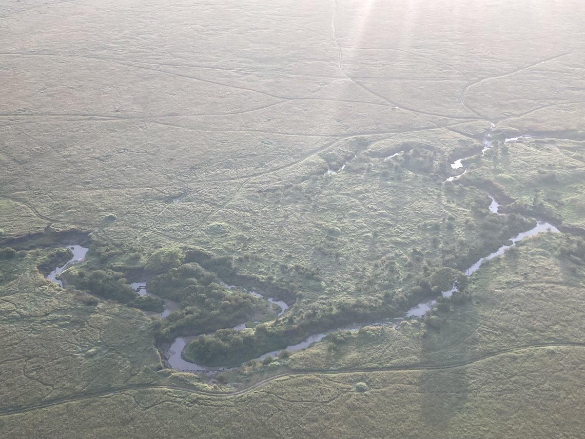 BEAMStudyAbroad's tweet photo. Many animals meet at luggas like this one due to the water and plant life around it. Because of this, many of my observations on mammal behavior have been done in these areas. Yet, does mammal behavior change when observing animals here versus other areas? -EM https://t.co/vPtGlbVaF0