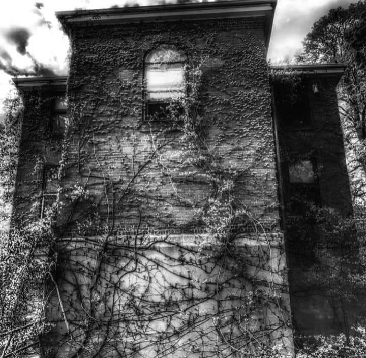 Fafilove99's tweet photo. 🌾 The #beauty Of Nature.
#naturetakesover #abandonedbuilding #urbexphoto #urbex_rebels #decayedplaces #explore #PicOfTheDay #Friday #Dark #abandonedafterdark #abandonedcentral https://t.co/sQKaJzrjZB