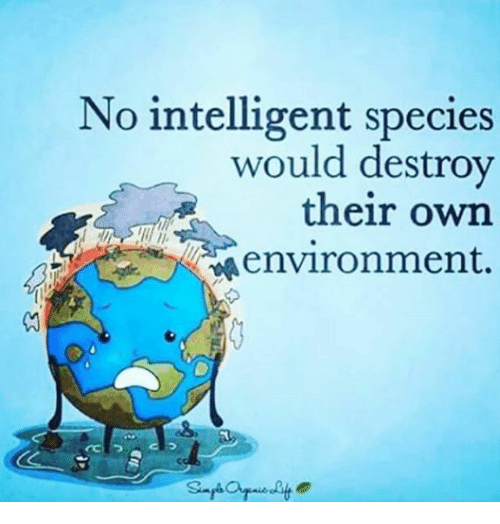 <a href="/FFFPunjab/">Fridays For Future Punjab</a> <a href="/KambojAnanya/">Ananya Kamboj 🇮🇳🇨🇦</a> <a href="/KambojAahana/">Aahana Kamboj</a> <a href="/GryllsMaitreya/">Maitreya Grylls</a> <a href="/GretaThunberg/">Greta Thunberg</a> @vanessa_vash <a href="/Farah_mkma/">Farah Mahmoud</a> <a href="/sophiamathur/">Sophia Mathur #StandWithUkraine</a> <a href="/CevikusHB/">Deniz4Future</a> <a href="/AnHourForNature/">An Hour For Nature</a> <a href="/ap4ca/">We're now @Climate_Parents</a> <a href="/Fridays4FutureU/">Fridays For Future Uganda</a> <a href="/NeelkamalTOI/">Neel Kamal</a> <a href="/ExtinctionR/">Extinction Rebellion Global</a> <a href="/Greenpeace/">Greenpeace International</a> <a href="/WeDontHaveTime/">We Don't Have Time</a> <a href="/JanineClimate/">💧 @ClimateJanine.Bsky.Social</a> <a href="/FFF_SAJ/">@FFF_SAJ ._. Sweden Årsta Janine #UprootTheSystem</a> <a href="/FFFIndia/">Fridays For Future India</a> <a href="/TomsTweeters/">Tom</a> <a href="/KabilaObbo/">Kabila Jonathan Obbo</a> <a href="/rhosking252/">Robert Redmayne Hosking 🎤🔥🌊🌿🌸🌼</a> My infinite support, solidarity and sympathy to you! Stay strong and keep on your great fight for a better future! ❤️🇺🇦🇾🇪☮️🌍🌏🌎🌳🌱🌿🌺🌼🏵️🌻🌞🦋