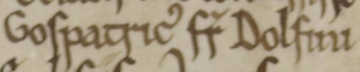 modelsauthority's tweet image. Dolphin alert!!
3 May 1147, &quot;Cospatric brother of Dolphin” (Gospatricus frater Dolfini). @BedesBooks
DCA DCD Misc. Ch. 573