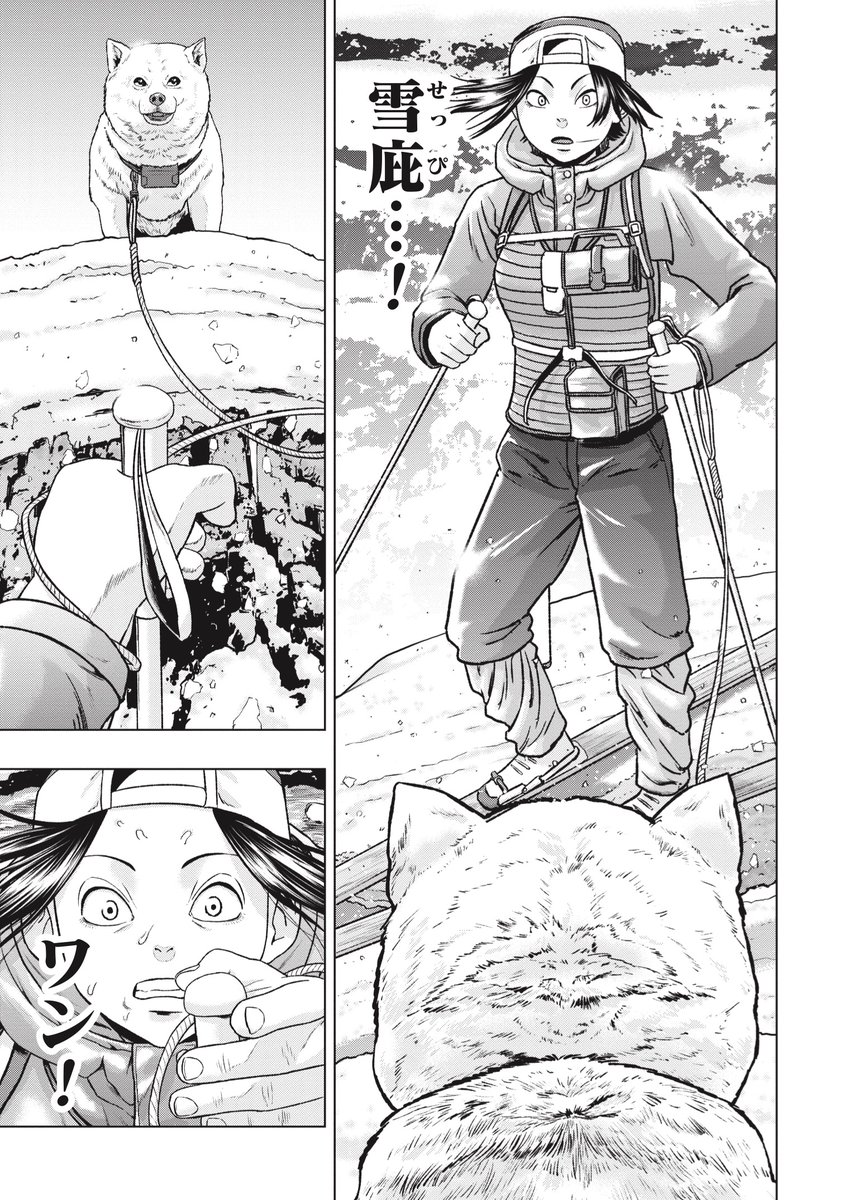 『クマ撃ちの女』🐻 第70話無料公開中!  雪庇を踏み抜き、崖から転落するチアキ! その窮地を救うのは--!?  
