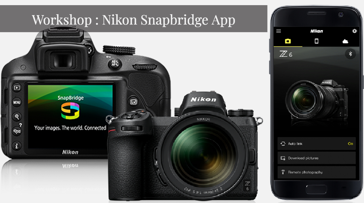 Exmoor Camera Club tweet media