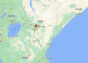 OneEarthBeat's tweet image. Staple tea crops in Kenya are prone to landslide erosion. Anna reports on projects to plant bamboo which prevent landslides as well as provide a livelihood for local communities #oneearthbeath #RiskToResilience #GPDRR2022 #climatechange #grassroots buff.ly/38nqw3A