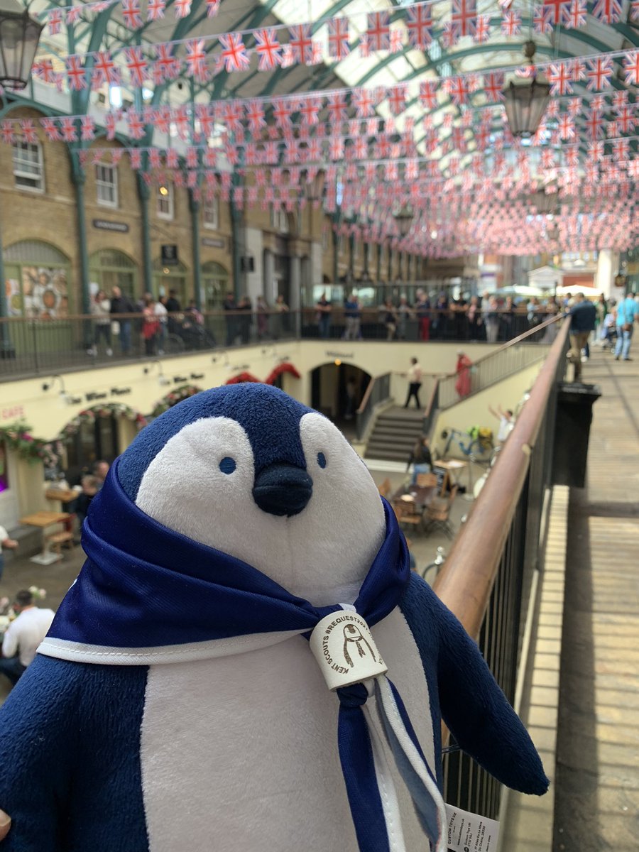 Shackleton The Penguin tweet media