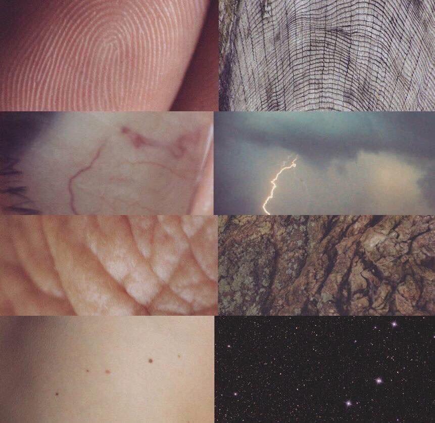 ءَالآءِ tweet media