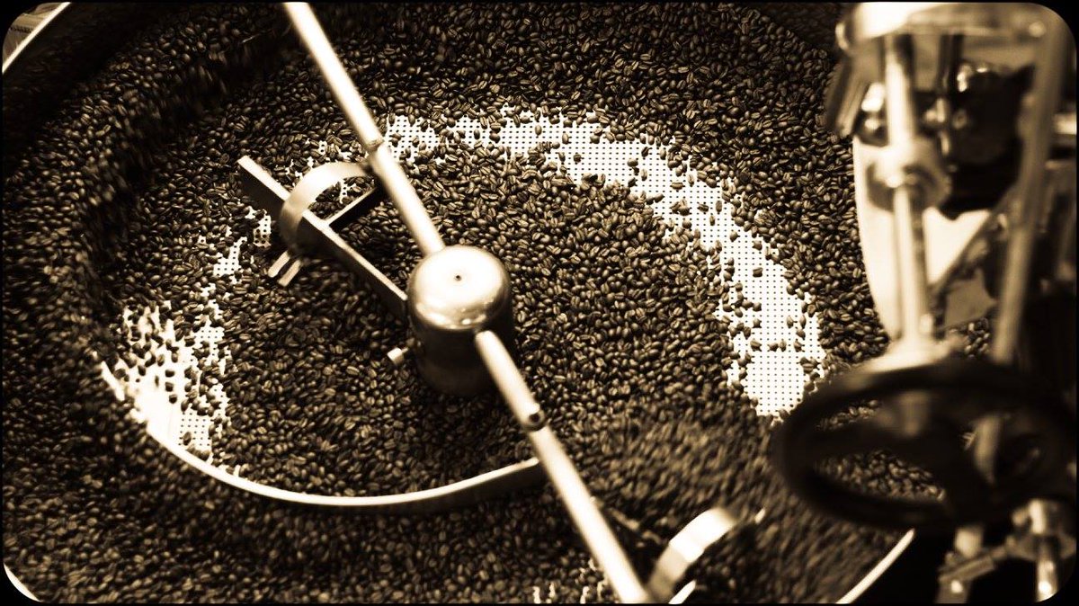 Coffee Plant tweet media