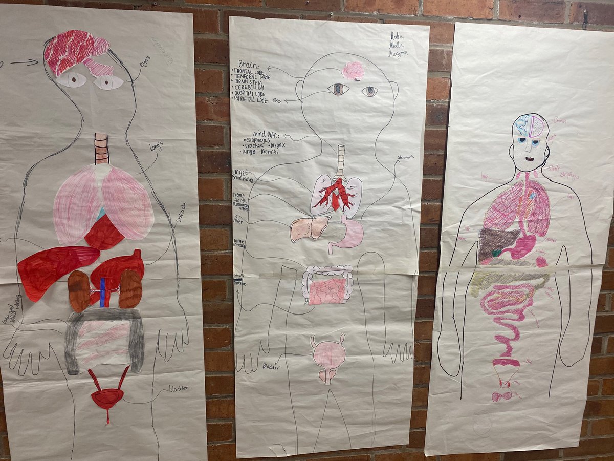 BraeviewScience tweet media