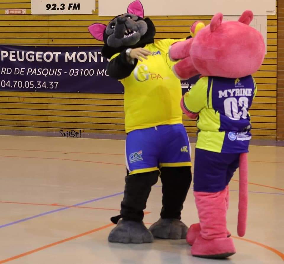 BHandball's tweet image. #BSMAnimation

Belle complicité entre les mascottes du BSM et de l'OCM! ❤️
Myrine et Loup de La Loue on fait le show samedi dernier lors du dernier match à domicile de notre équipe N3F vs Lyon.

👉Bravo et merci! 👏

📸 Christelle LAGARRIGUE 
📸 Sofi VIOT 
📸 Romain VIGNANE