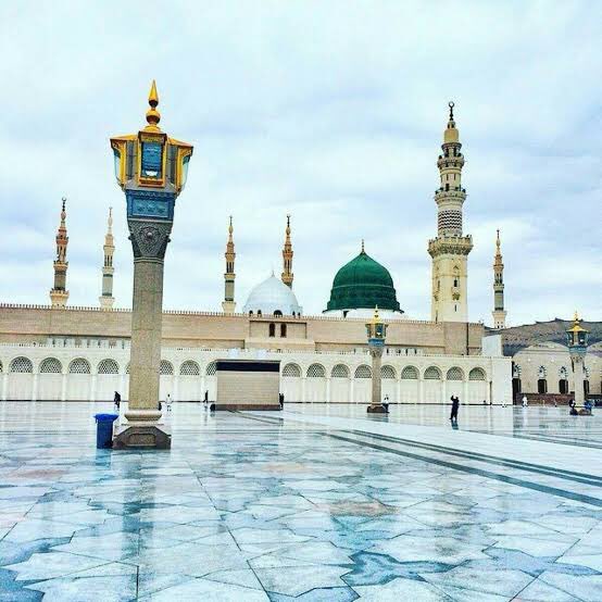 𝓐𝓵𝓽𝓻𝓾𝓲𝓼𝓽 ☘️ tweet media