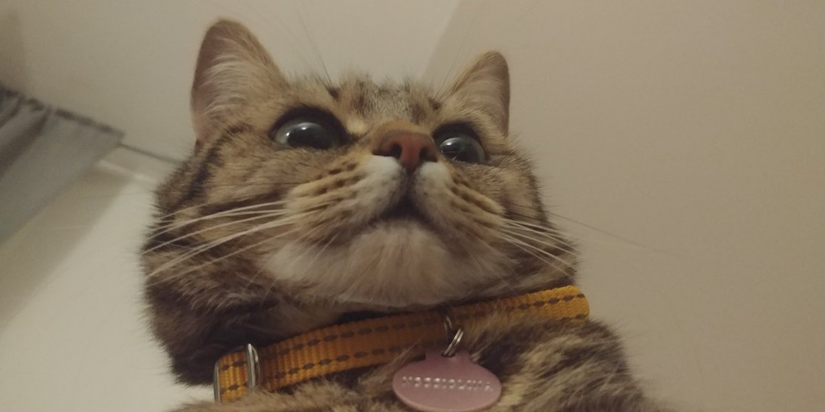 RegularAntu's tweet photo. @memesiwish https://t.co/bbDOqzs1Fd