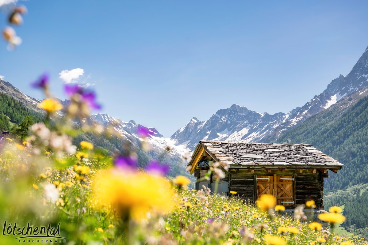 Wie es im Lötschental aussieht? Genau so, wie auf dem Foto! Das wurde heute Vormittag gemacht 😃
Die beliebtesten Wanderwege des Magischen Tals sind auch wieder offen: bit.ly/3sZKtVj

Wir wünschen ein fantastisches Wochenende ☀️
#welcometothemagicvalley #lötschental